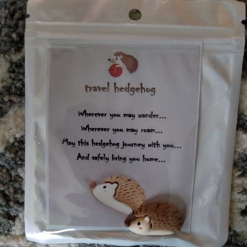 Pocket hug. Travel Hedgehog. Cute novelty gift. Resin charm w/ card